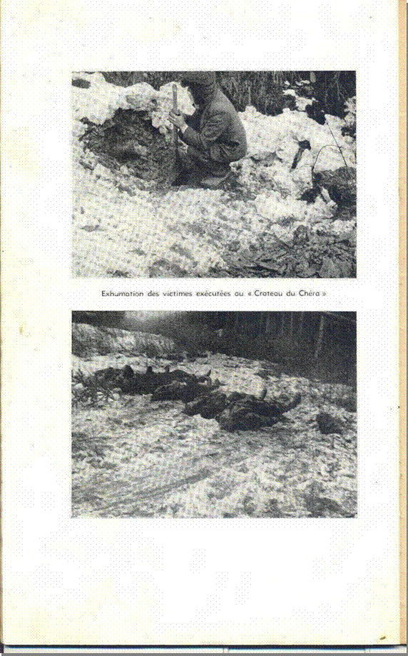 Commission p40 ter.JPG